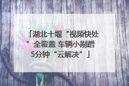 湖北十堰“视频快处”全覆盖 车辆小剐蹭5分钟“云解决”