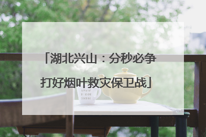 湖北兴山：分秒必争 打好烟叶救灾保卫战