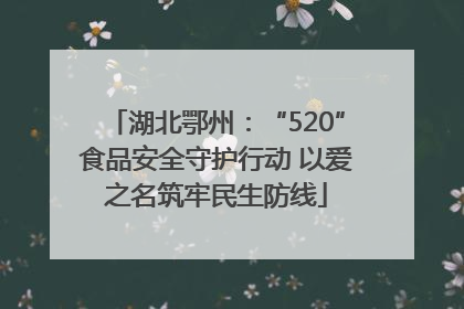 湖北鄂州：“520”食品安全守护行动 以爱之名筑牢民生防线