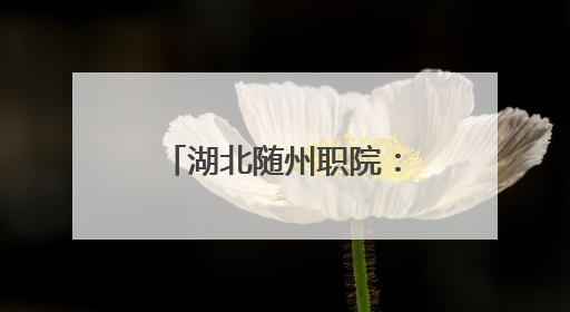 湖北随州职院：“炎之有理”宣讲团来到学生身边