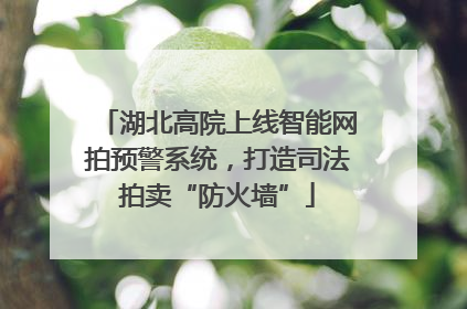 湖北高院上线智能网拍预警系统，打造司法拍卖“防火墙”