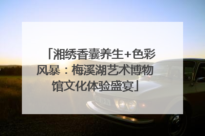 湘绣香囊养生+色彩风暴：梅溪湖艺术博物馆文化体验盛宴
