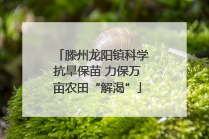 滕州龙阳镇科学抗旱保苗 力保万亩农田“解渴”
