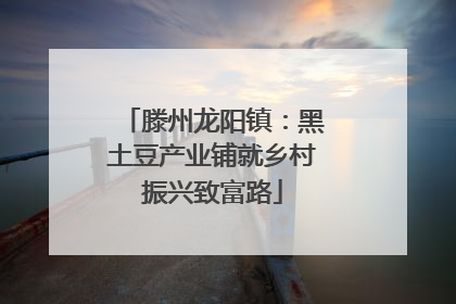 滕州龙阳镇：黑土豆产业铺就乡村振兴致富路
