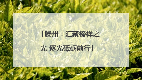 滕州：汇聚榜样之光 逐光砥砺前行