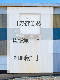 漫评美芯片新规：“打地鼠”