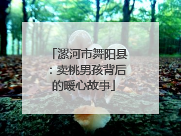漯河市舞阳县：卖桃男孩背后的暖心故事