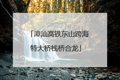漳汕高铁东山跨海特大桥栈桥合龙