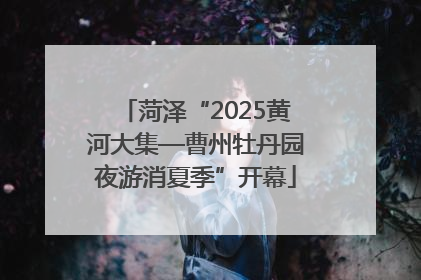 菏泽“2025黄河大集—曹州牡丹园夜游消夏季”开幕