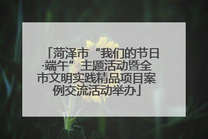 菏泽市“我们的节日·端午”主题活动暨全市文明实践精品项目案例交流活动举办
