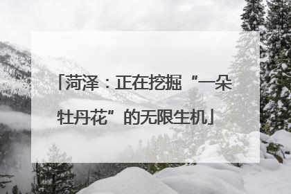 菏泽：正在挖掘“一朵牡丹花”的无限生机