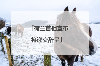 荷兰首相宣布将递交辞呈