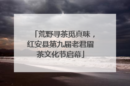 荒野寻茶觅真味，红安县第九届老君眉茶文化节启幕