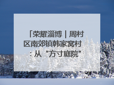 荣耀淄博｜周村区南郊镇韩家窝村：从“方寸庭院”到“全域文明”，乡村振兴的“美学革命”