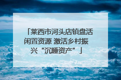 莱西市河头店镇盘活闲置资源 激活乡村振兴“沉睡资产”