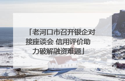 老河口市召开银企对接座谈会 信用评价助力破解融资难题