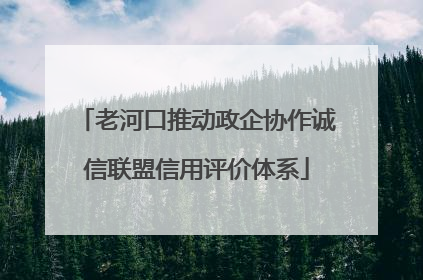 老河口推动政企协作诚信联盟信用评价体系