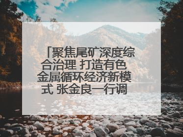 聚焦尾矿深度综合治理 打造有色金属循环经济新模式 张金良一行调研栾川县尾矿库综合治理工作