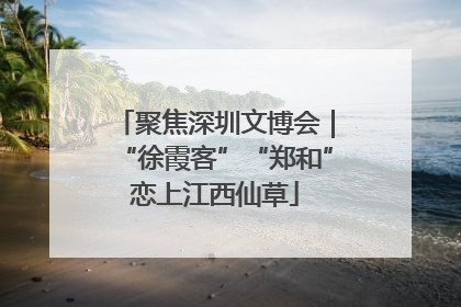 聚焦深圳文博会｜“徐霞客”“郑和”恋上江西仙草