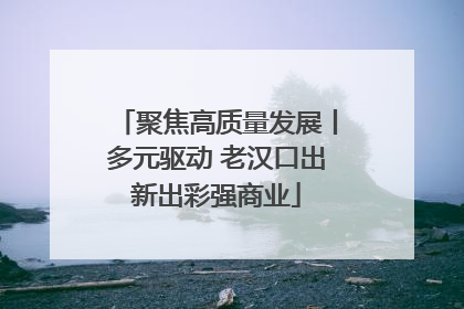 聚焦高质量发展丨多元驱动 老汉口出新出彩强商业