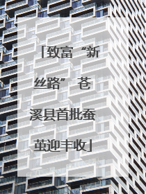 致富“新丝路” 苍溪县首批蚕茧迎丰收
