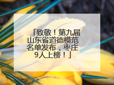 致敬！第九届山东省道德模范名单发布，枣庄9人上榜！