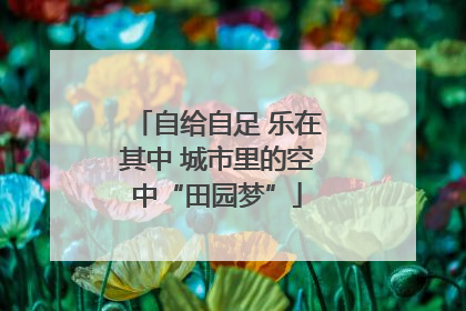 自给自足 乐在其中 城市里的空中“田园梦”