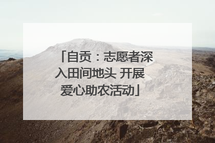 自贡：志愿者深入田间地头 开展爱心助农活动