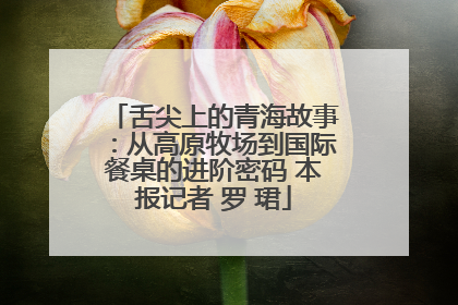 舌尖上的青海故事：从高原牧场到国际餐桌的进阶密码 本报记者 罗 珺