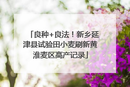 良种+良法！新乡延津县试验田小麦刷新黄淮麦区高产记录