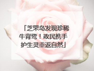芝罘岛发现珍稀牛背鹭！政民携手护生灵重返自然