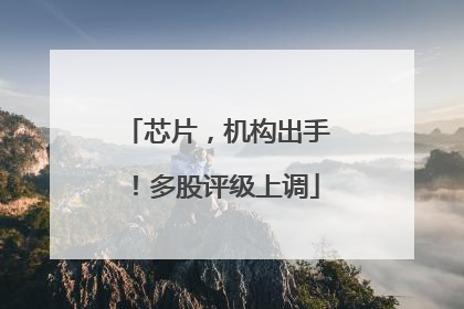 芯片，机构出手！多股评级上调