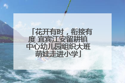 花开有时，衔接有度 宜宾江安留耕镇中心幼儿园组织大班萌娃走进小学