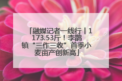 融媒记者一线行丨1173.53斤！李鹊镇“三作三收”首季小麦亩产创新高