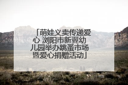 萌娃义卖传递爱心 浏阳市新翼幼儿园举办跳蚤市场暨爱心捐赠活动
