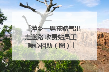 萍乡一男孩赌气出走迷路 收费站员工暖心相助（图）
