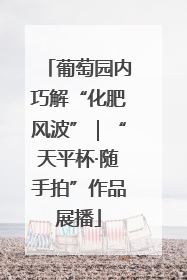 葡萄园内巧解“化肥风波”｜“天平杯·随手拍”作品展播