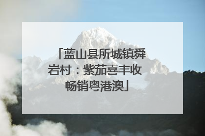 蓝山县所城镇舜岩村：紫茄喜丰收 畅销粤港澳