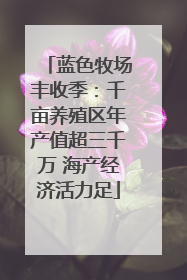 蓝色牧场丰收季：千亩养殖区年产值超三千万 海产经济活力足