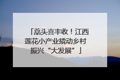 藠头喜丰收！江西莲花小产业撬动乡村振兴“大发展”