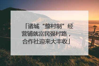 诸城“整村制”经营铺就富民强村路，合作社迎来大丰收