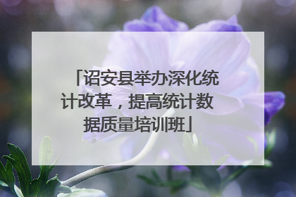 诏安县举办深化统计改革，提高统计数据质量培训班
