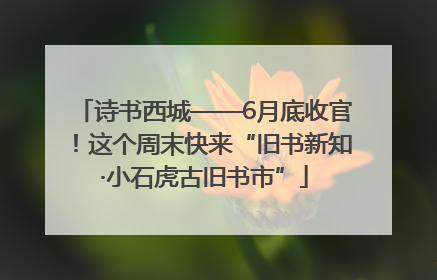 诗书西城——6月底收官！这个周末快来“旧书新知·小石虎古旧书市”