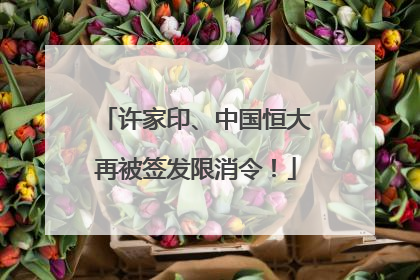 许家印、中国恒大再被签发限消令！