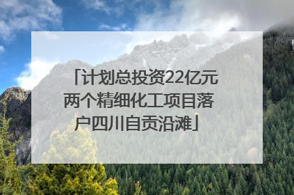 计划总投资22亿元 两个精细化工项目落户四川自贡沿滩