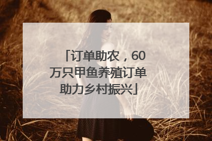 订单助农，60万只甲鱼养殖订单助力乡村振兴