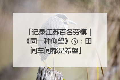 记录江苏百名劳模｜《同一种仰望》⑤：田间车间都是希望