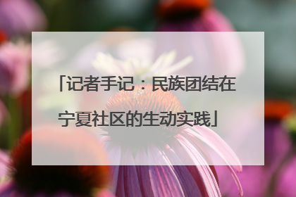 记者手记：民族团结在宁夏社区的生动实践