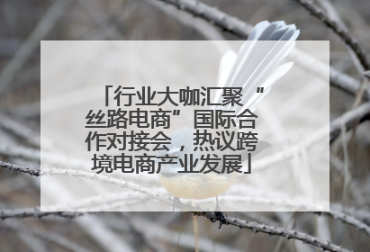 行业大咖汇聚“丝路电商”国际合作对接会，热议跨境电商产业发展