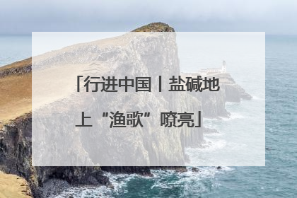 行进中国丨盐碱地上“渔歌”嘹亮